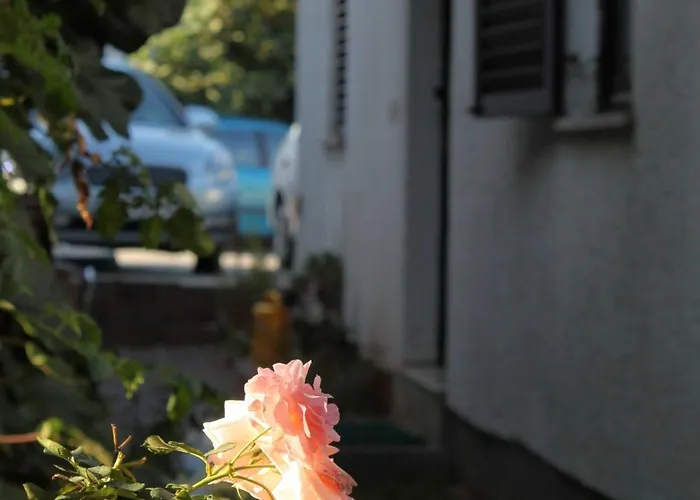 With Parking Space - 7137 * ポレッチ